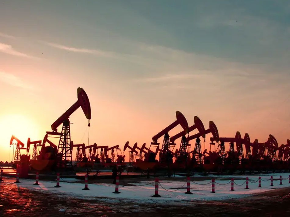 ʤ������